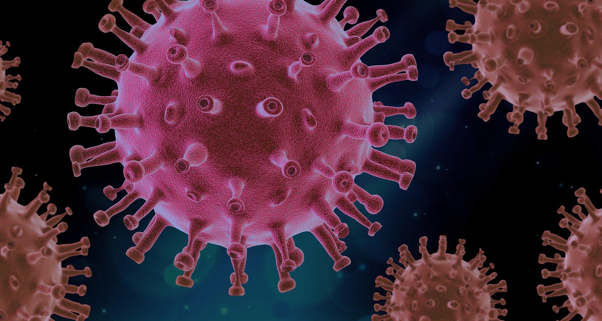 Veel gestelde vragen over het coronavirus